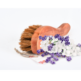 Stiff Coir Body Brush